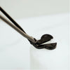 Wick Trimmer