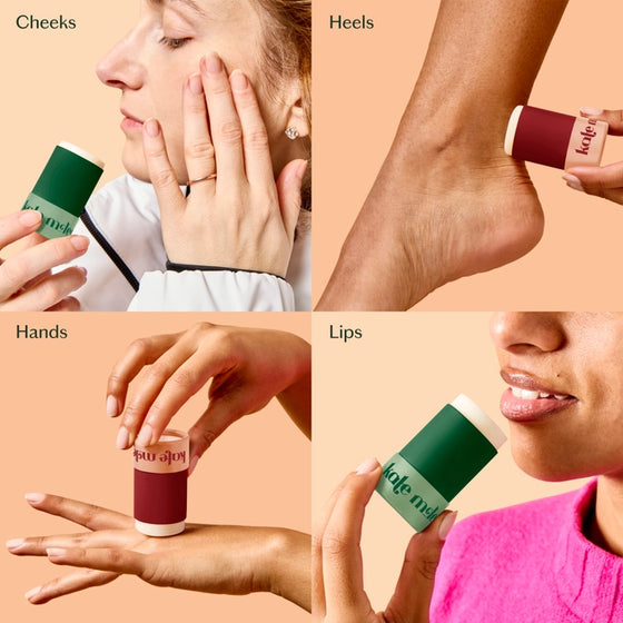 Holiday Everywhere Stick Duo