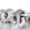 Kade Vase