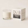 CICADA 9oz candle