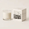 CICADA 9oz candle